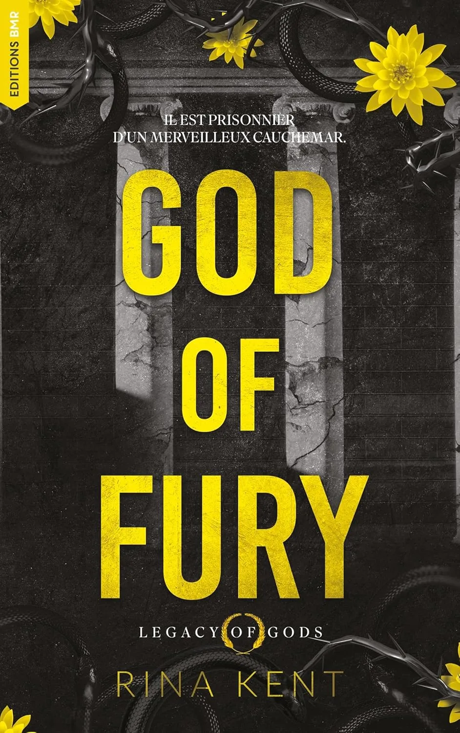 Legacy of Gods, Tome 5: God of Fury