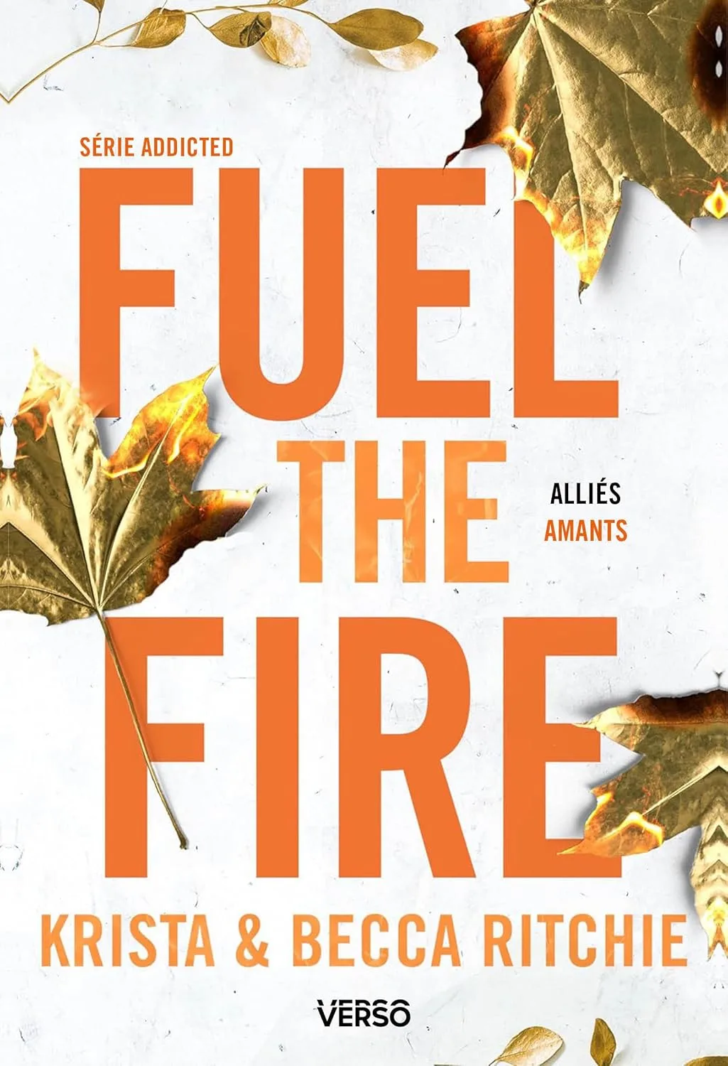 Addicted, Tome 8 : Fuel the Fire