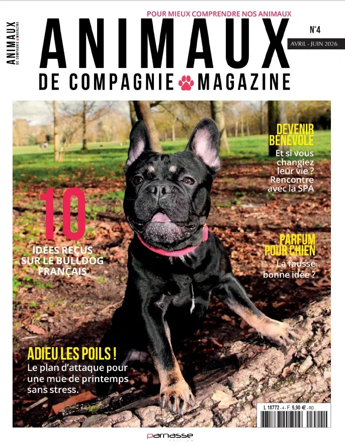 1001Ebooks - Animaux de Compagnie N°4 (Avril - Juin 2026) Animaux de Compagnie N°4 (Avril - Juin 2026)