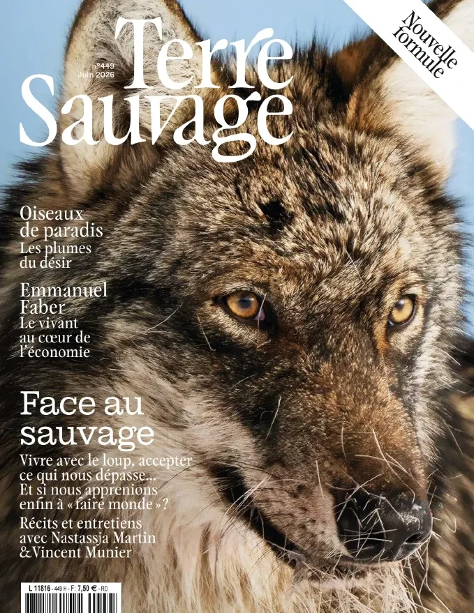 1001Ebooks - Terre Sauvage N°499 (Juin 2026) Terre Sauvage N°499 (Juin 2026)