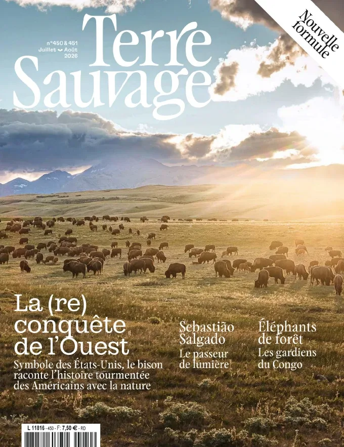 1001Ebooks - Terre Sauvage N°450-451 (Juillet-Août 2026) Terre Sauvage N°450-451 (Juillet-Août 2026)