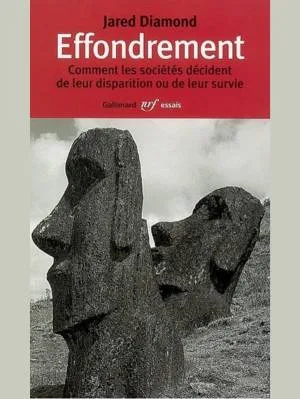 1001Ebooks - Effondrement Effondrement