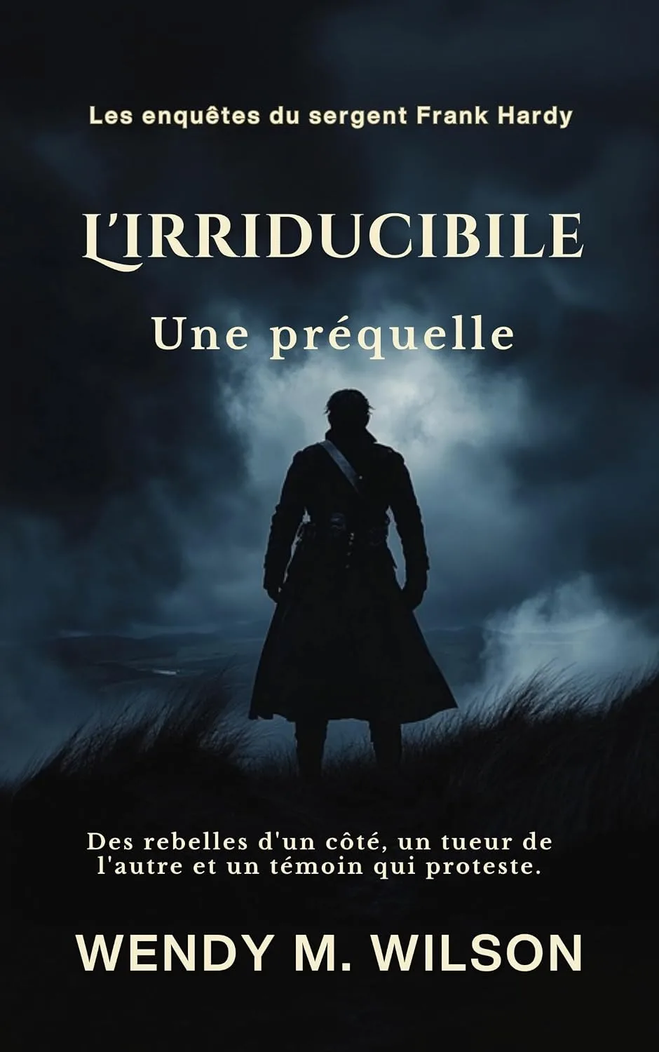 1001Ebooks - L'irréductible L'irréductible