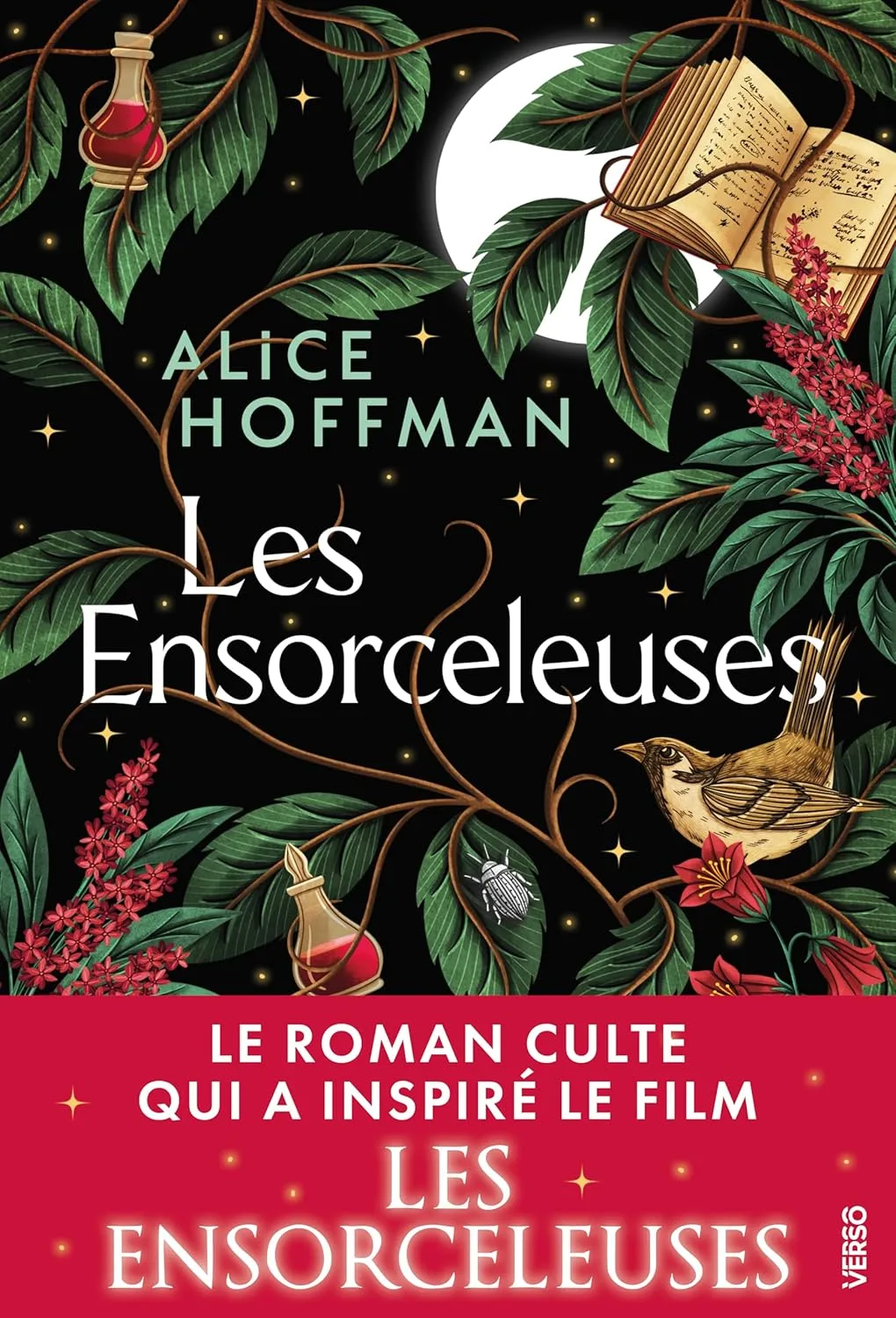 1001Ebooks - Practical Magic, Tome 1 : Les Ensorceleuses Practical Magic, Tome 1 : Les Ensorceleuses
