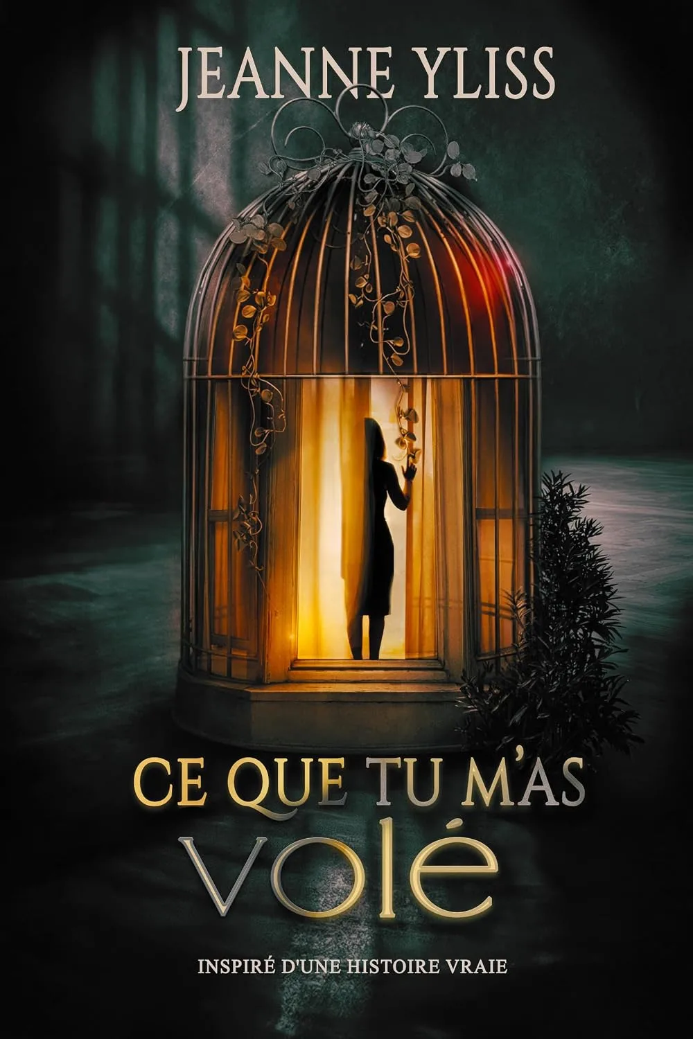 Ce que tu m'as volé