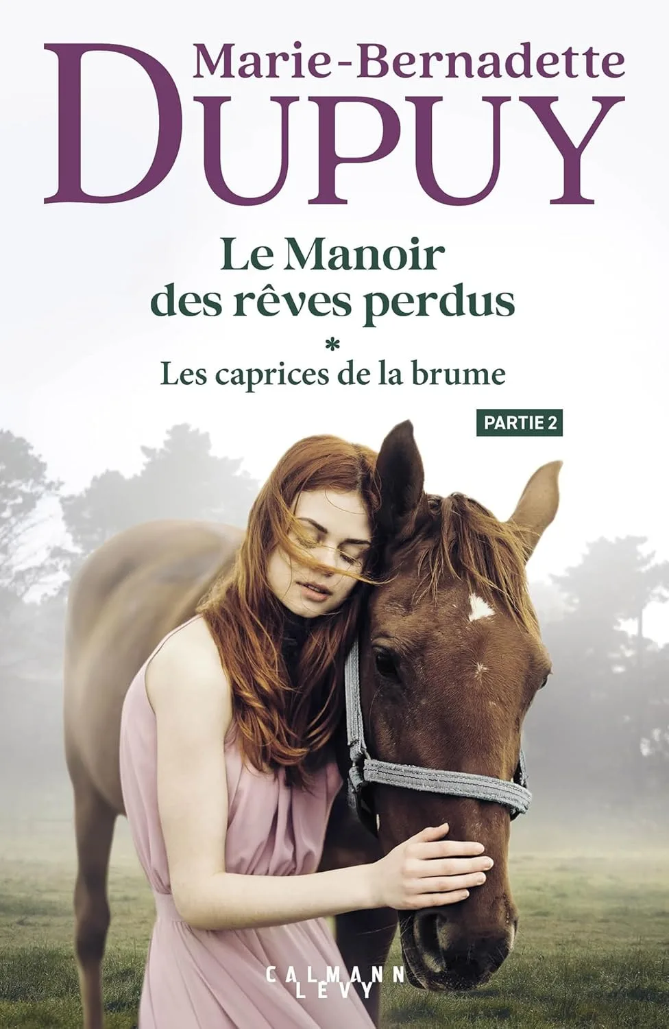 Le manoir des rêves perdus, Tome 1: Les caprices de la brume (partie 2)