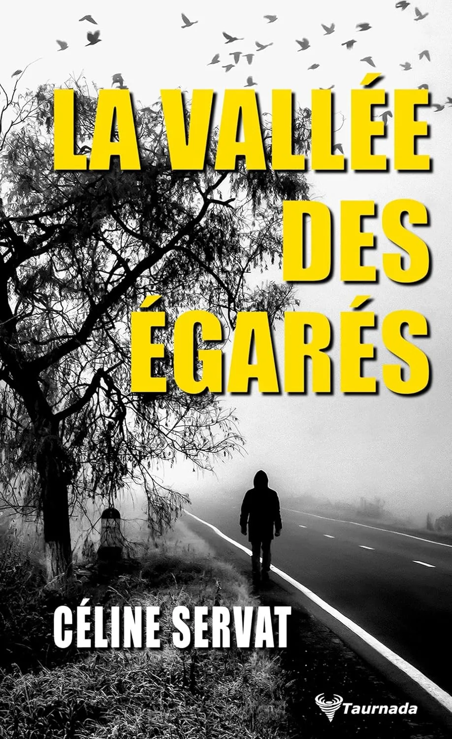 La vallée des égarés