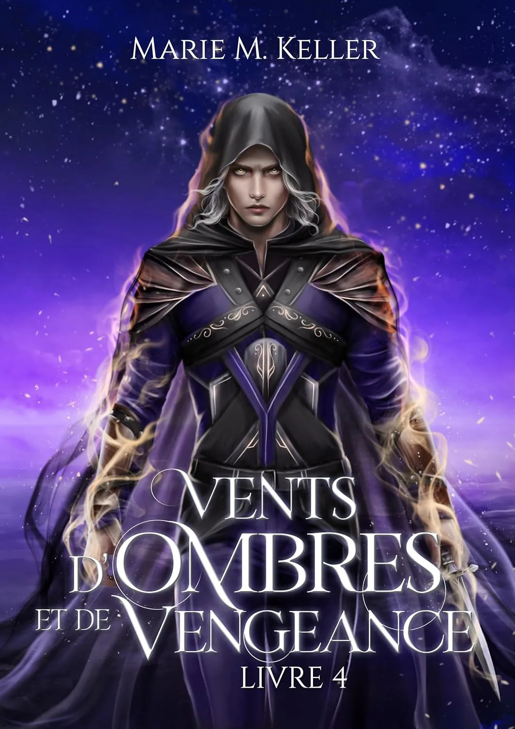 Ombres ,Tome 4 : Vents d'Ombres et de Vengeance