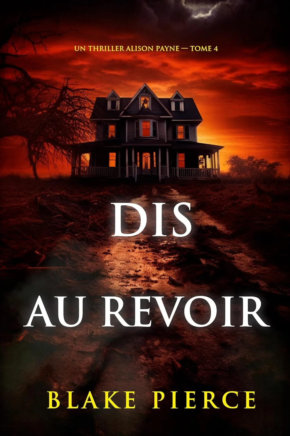 Un thriller Alison Payne ,Tome : 4 Dis au revoir