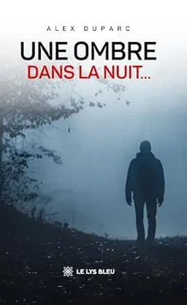 Une ombre dans la nuit...