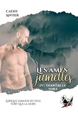 Les Âmes jumelles ,Tome 5 : Derriere le voile