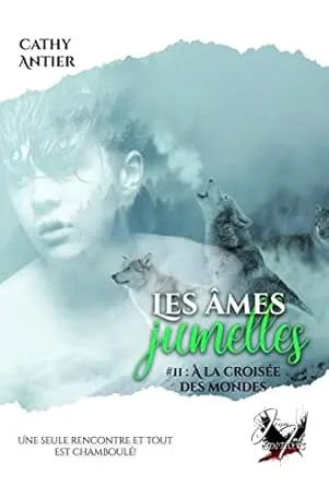 Les Âmes jumelles ,Tome 2 : A la croisée des mondes