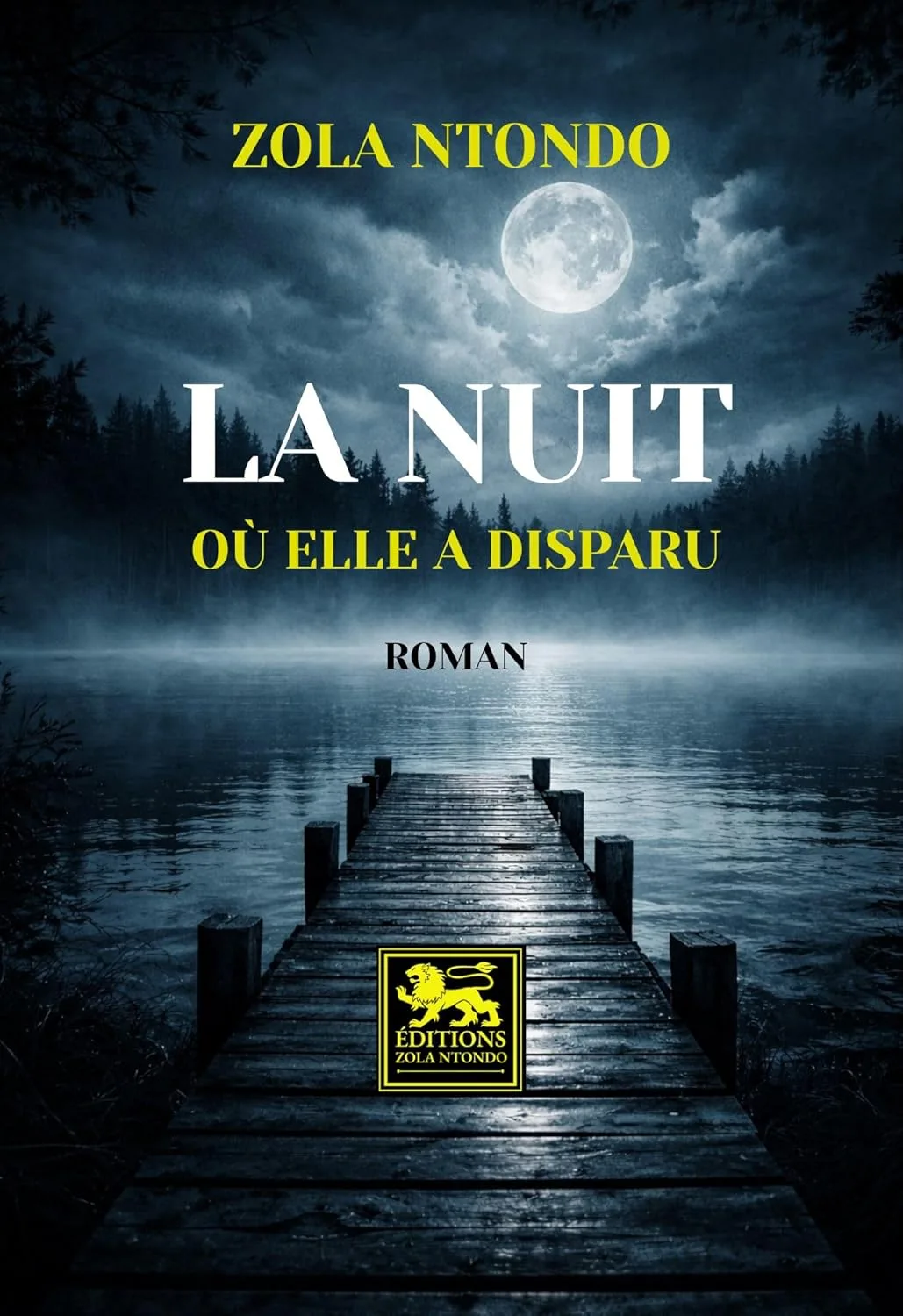 La nuit où elle a disparu