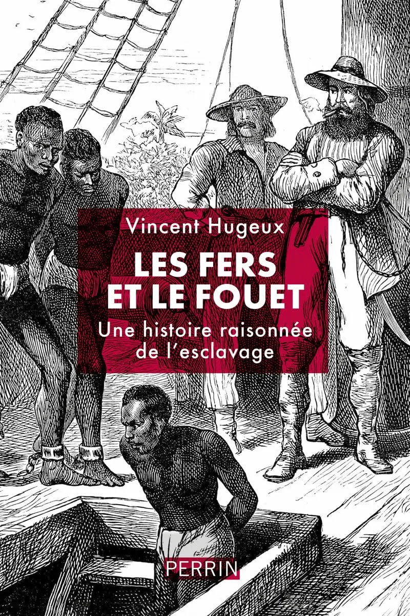 Les fers et le fouet: Une histoire raisonnée de l'esclavage