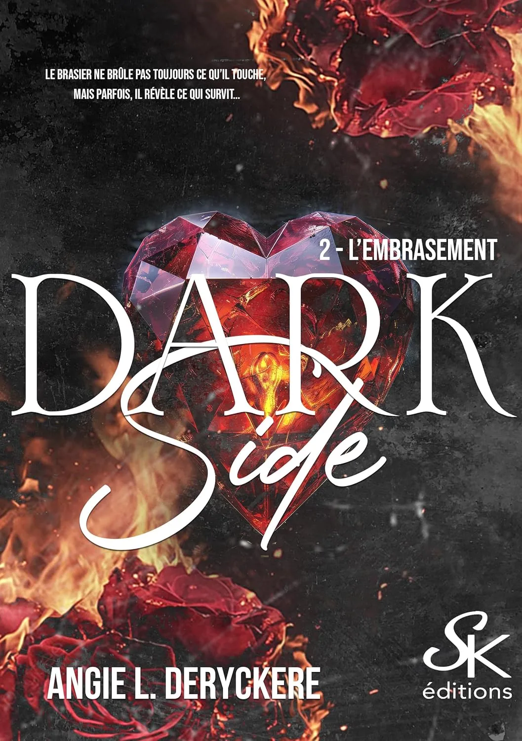 Dark Side, Tome 2 : L'embrasement