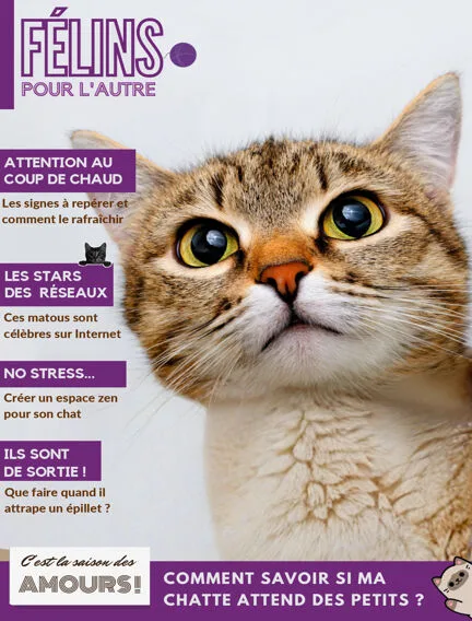 Félins pour l’autre N°30 ( 4 Mai 2026 )