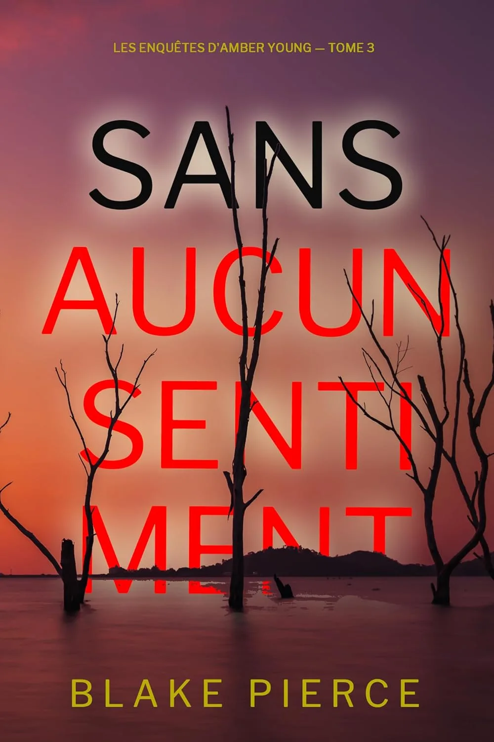1001Ebooks - Les Enquêtes d'Amber Young,Tome 3: Sans aucun sentiment Les Enquêtes d'Amber Young,Tome 3: Sans aucun sentiment