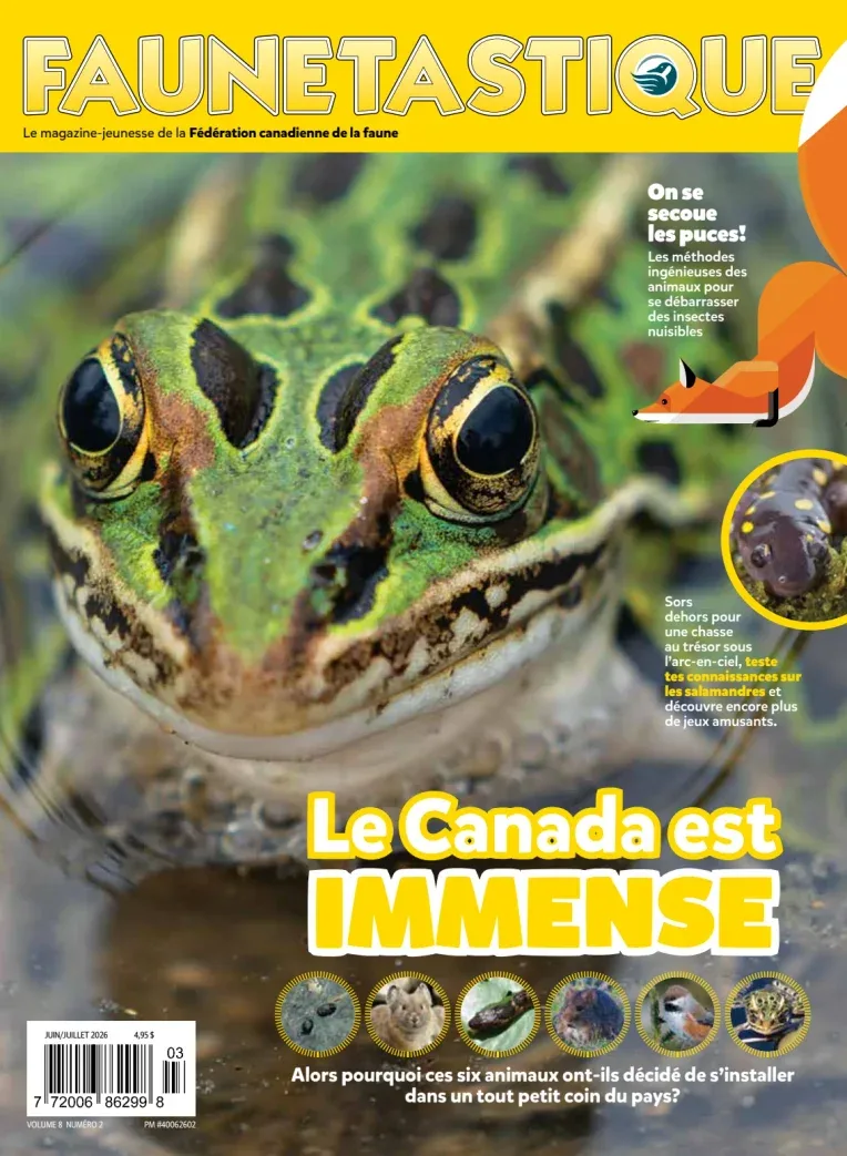 Faunetastique : Volume 8 N°2 ( Juin-Juillet 2026)