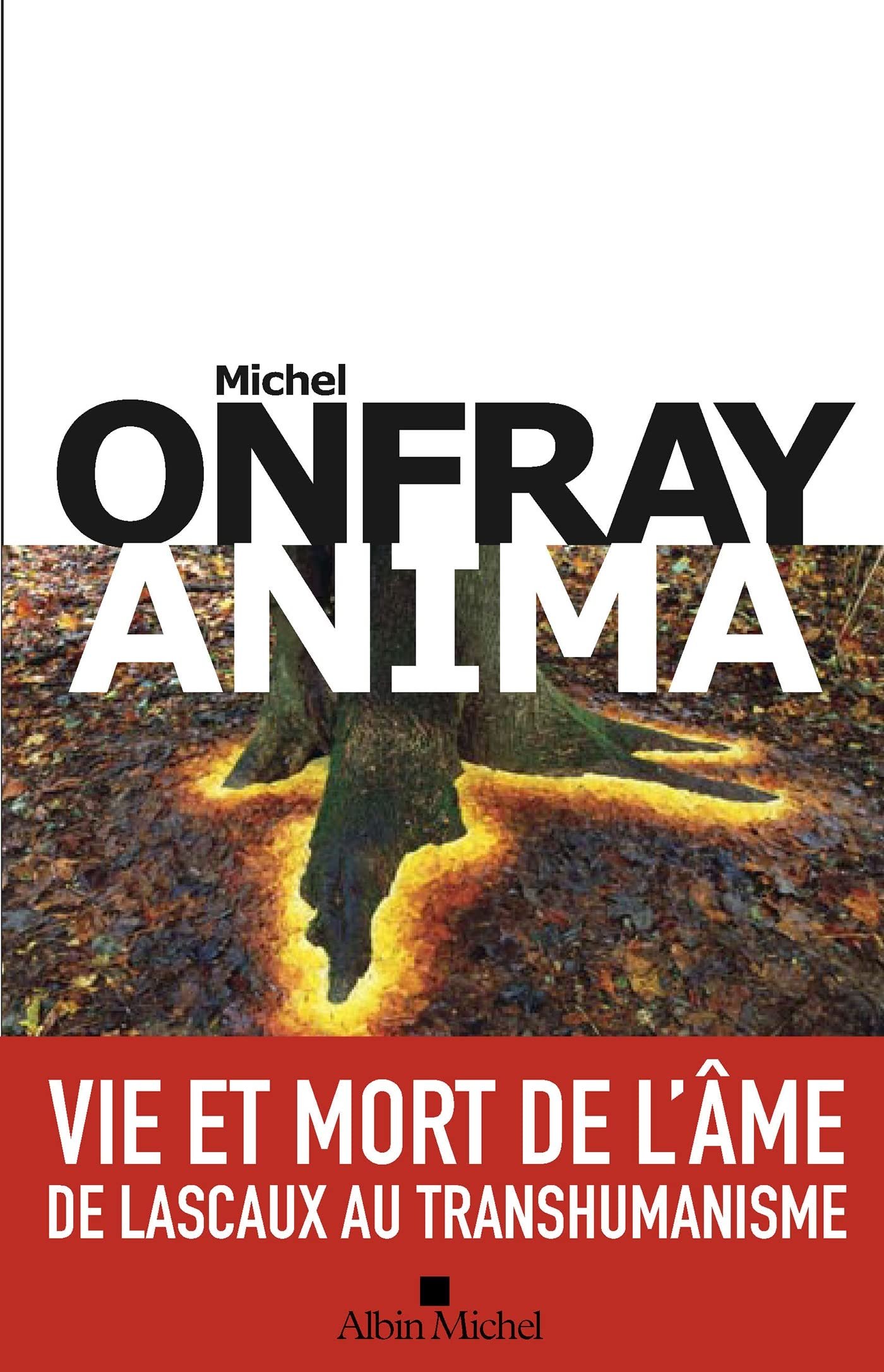 Anima: Vie et mort de l’âme de Lascaux au transhumanisme