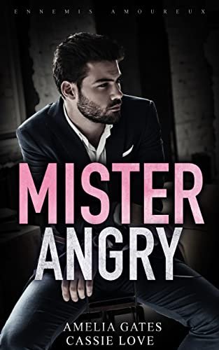 Ennemis Amoureux, Tome 1 : Mr. Angry