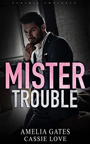 Ennemis Amoureux, Tome 2 : Mr. Trouble