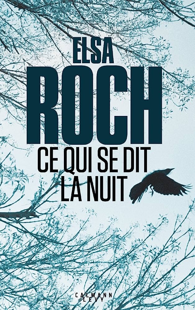 Ce qui se dit la nuit