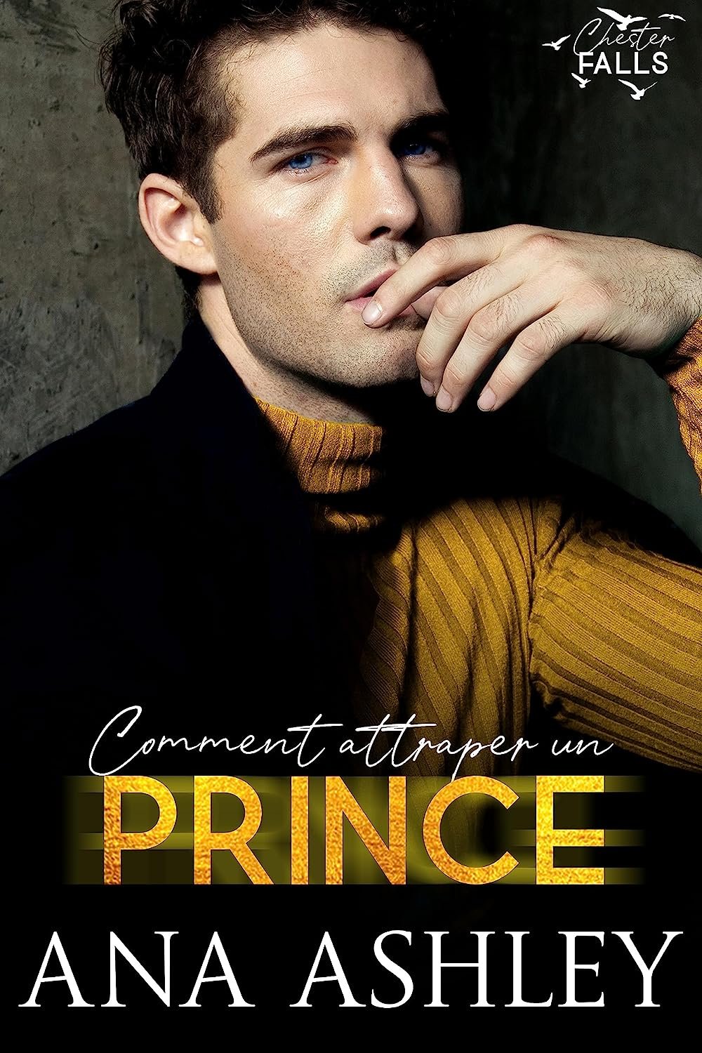 Comment attraper un Prince
