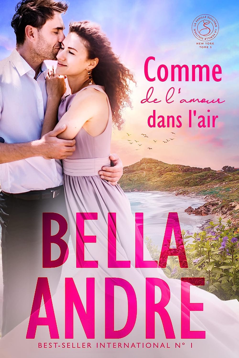 La Famille Sullivan, New York, Tome 5 : Comme de l'amour dans l'air