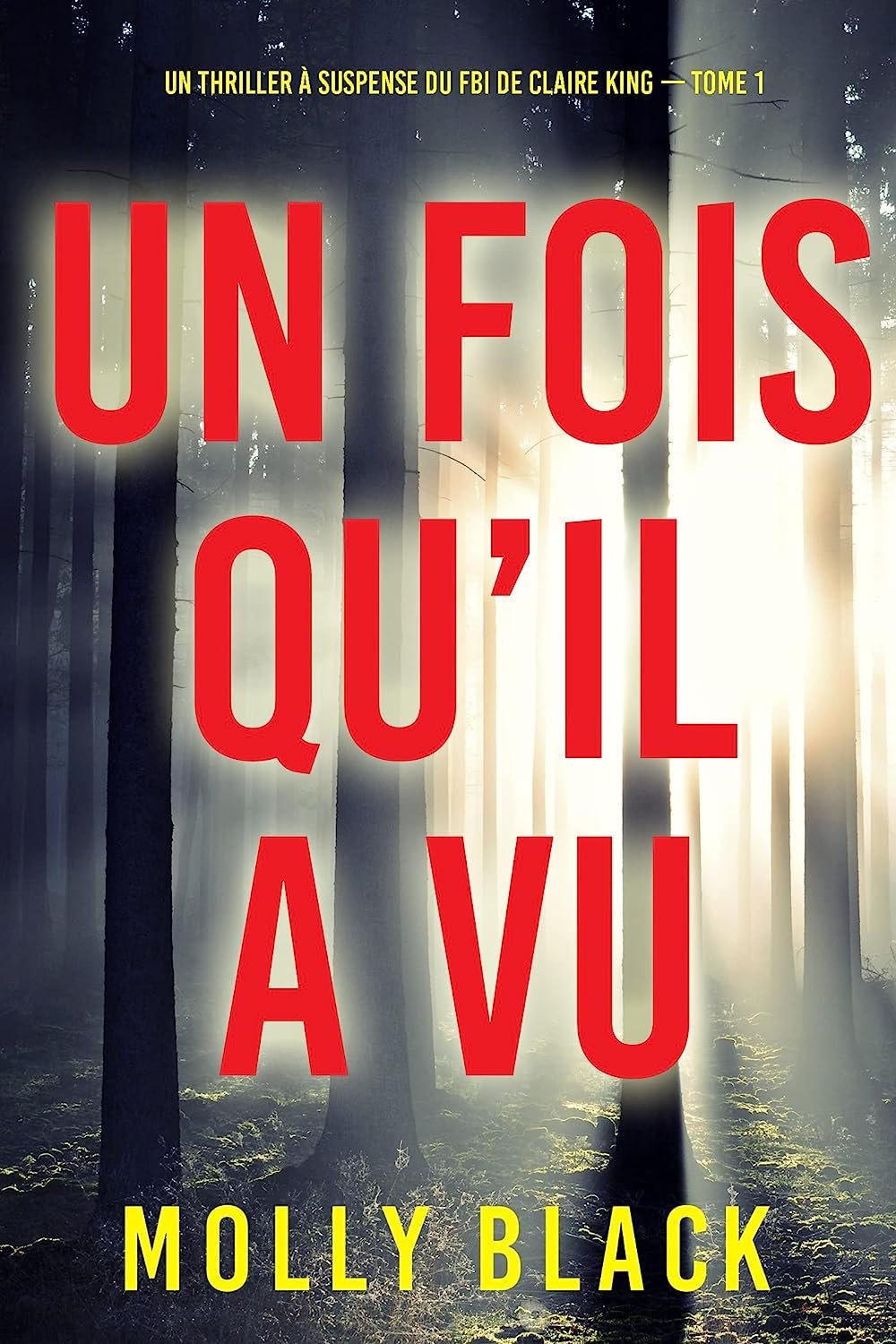 Un Fois qu’il a vu