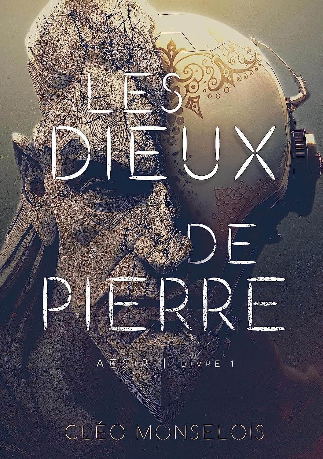 Les Dieux de Pierre: Aesir - Livre 1