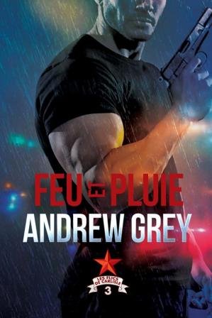 Les Flics de Carlisle Tome 3 : Feu et pluie