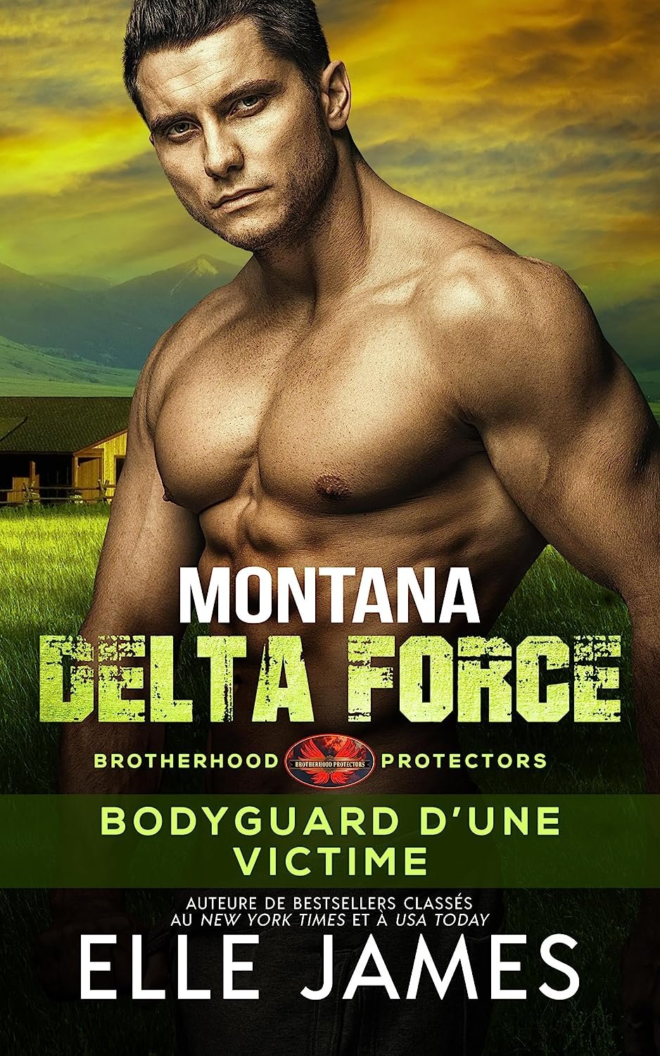 Brotherhood Protectors, Tome 3 : Montana Delta Force : Bodyguard d'une victime
