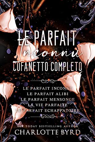 Le Parfait Inconnu Coffret Complet
