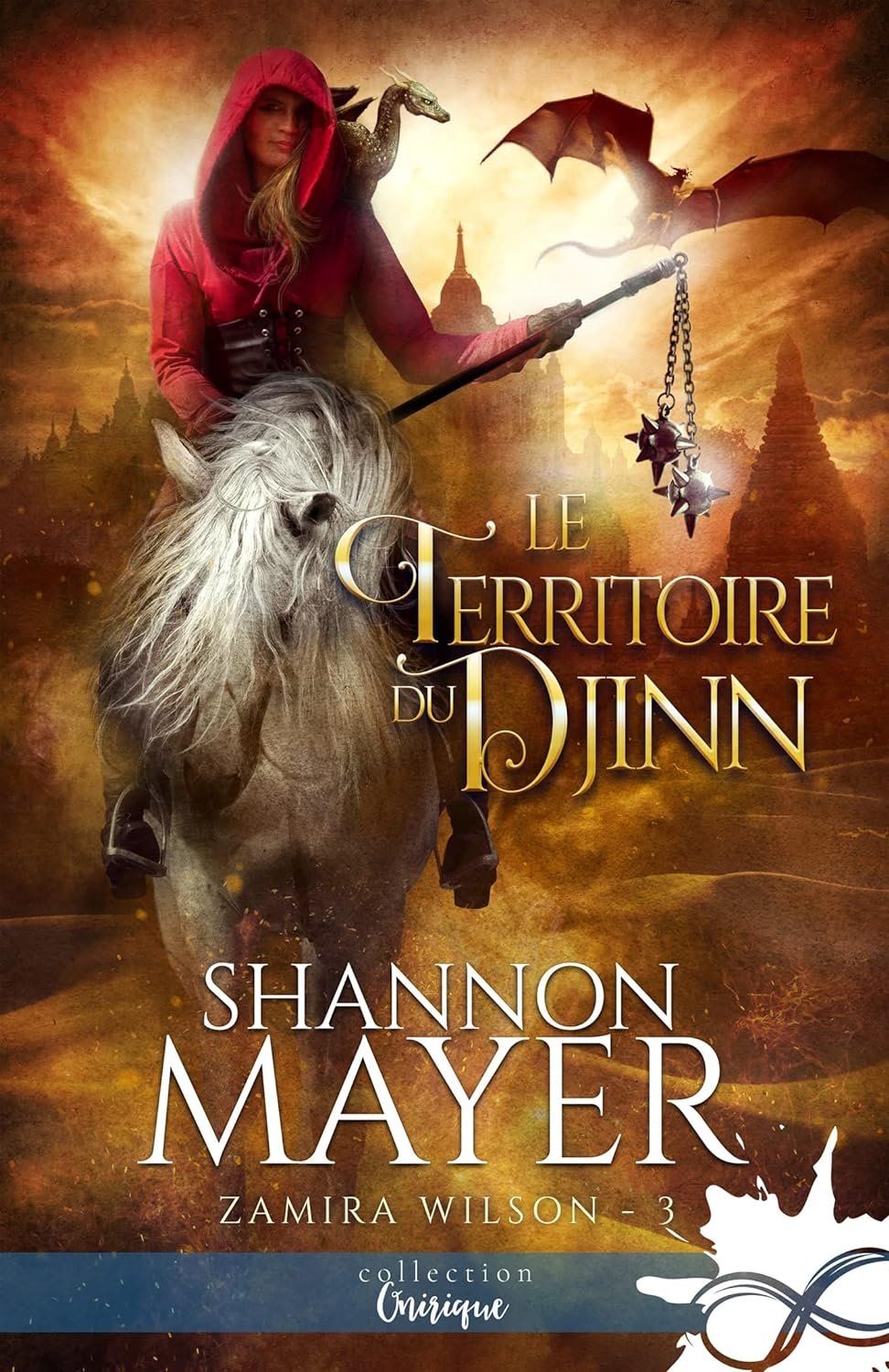 Zamira Wilson, Tome 3 : Le Territoire du djinn