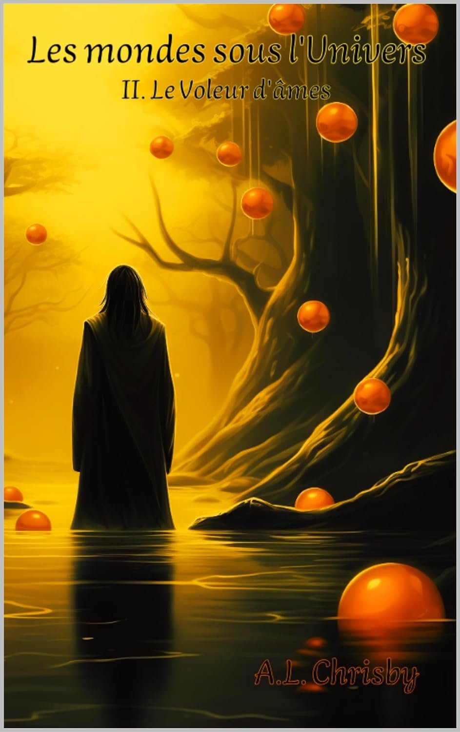 Les mondes sous l'Univers Tome 2 : Le Voleur d'âmes