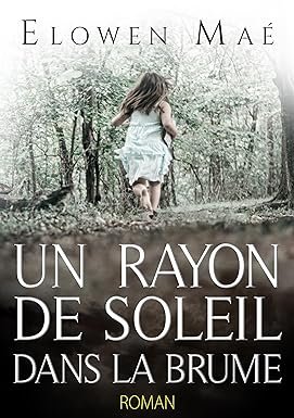 Un rayon de soleil dans la brume