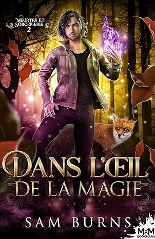 Meurtre et sorcellerie, Tome 2 : Dans l'œil de la magie