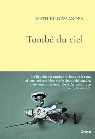 Tombé du ciel