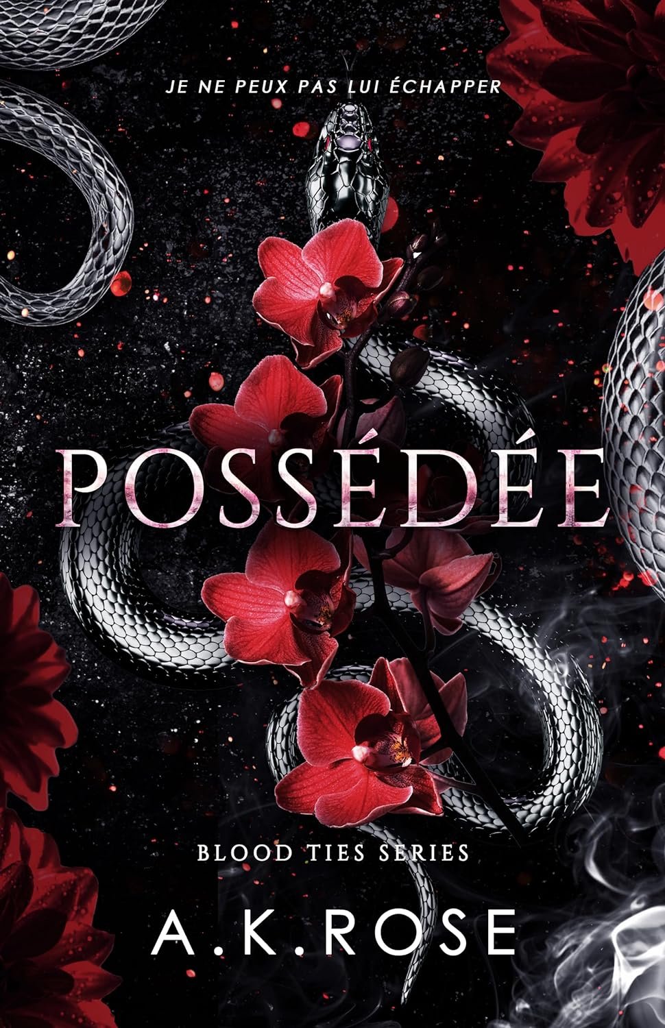 Les Liens du sang, Tome 4 : Possédée