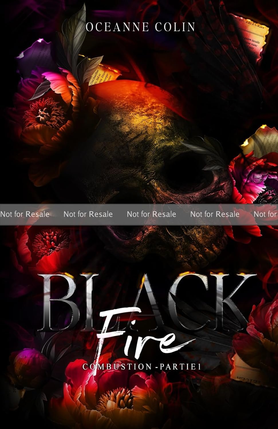 Black Fire, Tome 1 : Combustion
