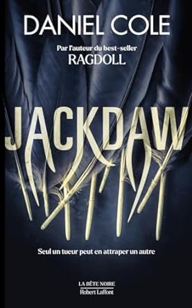 Jackdaw