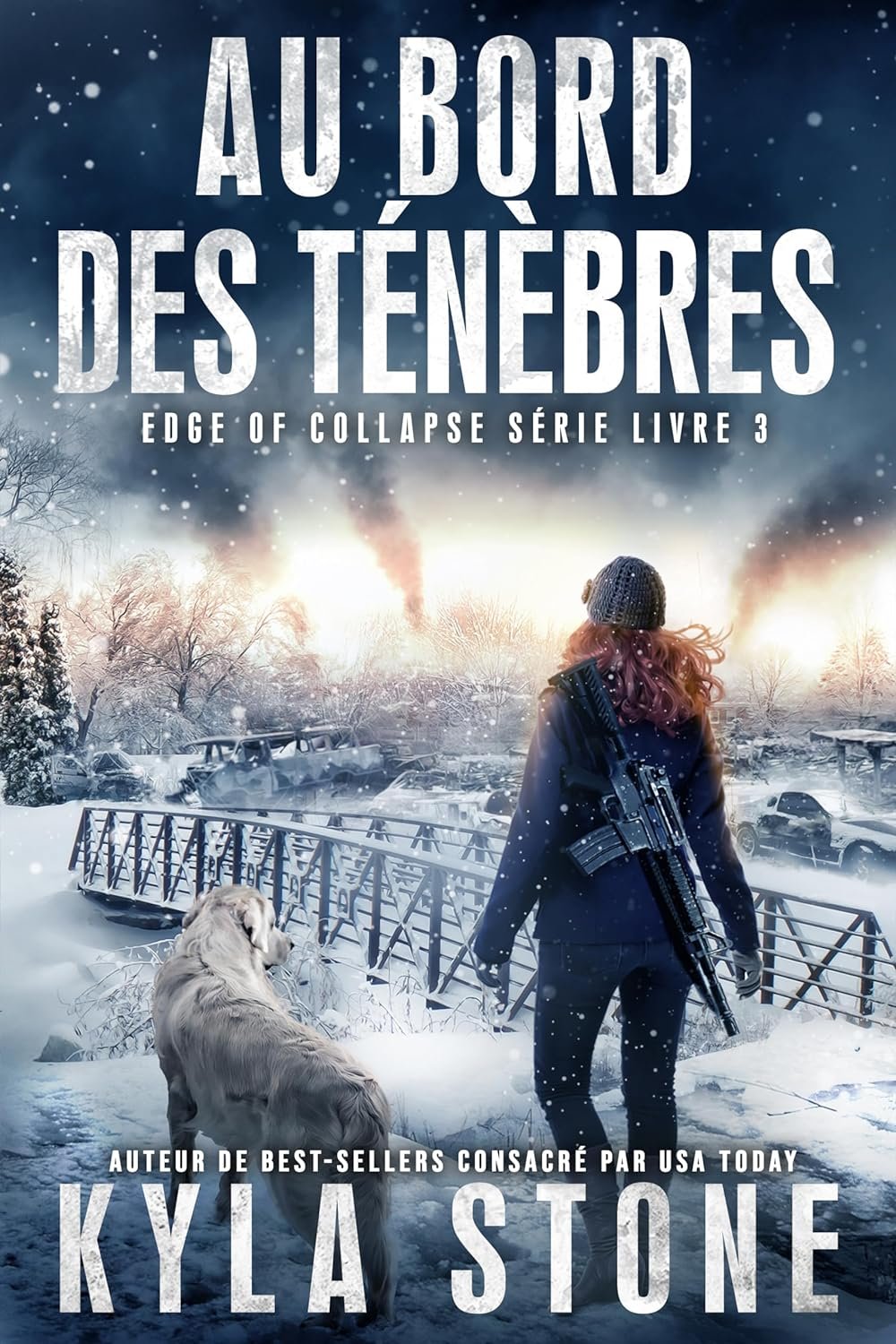 Edge of Collapse, Tome 3 : Au bord des ténèbres