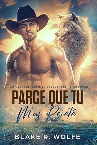 Parce que tu mas rejeté