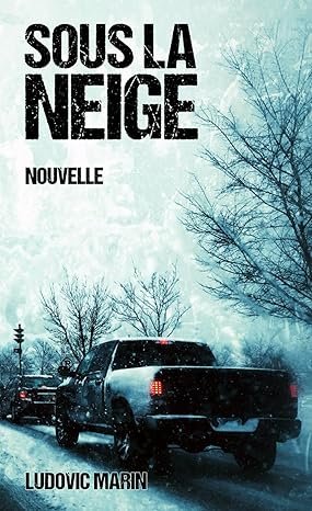 Sous la neige