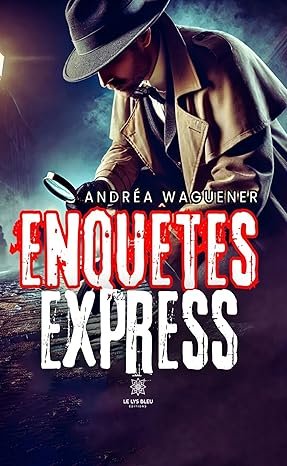 Enquêtes express