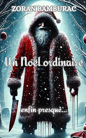 Un Noël ordinaire