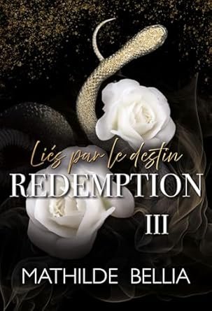 Liés par le destin, Tome 3 : Rédemption