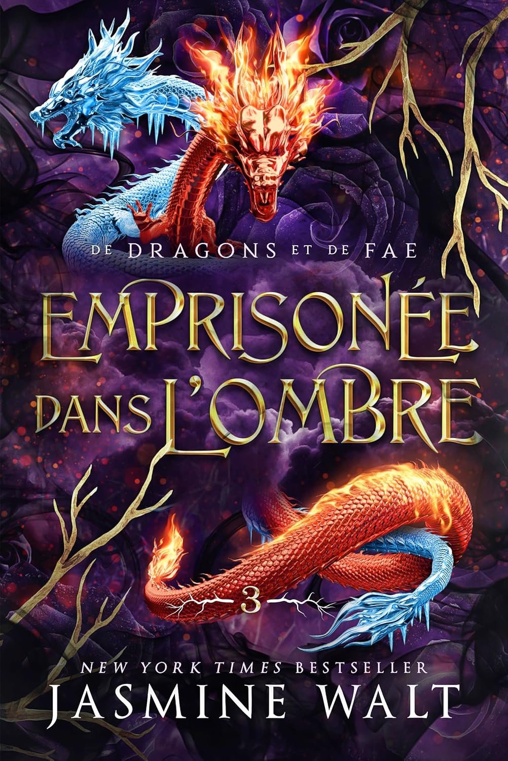 Emprisonée dans l’Ombre