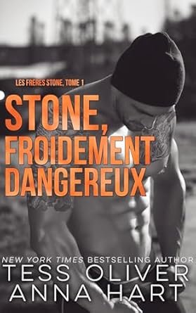 Les Frères Stone, Tome 1 : Stone, froidement dangereux