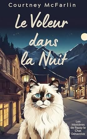 Le Voleur dans la Nuit